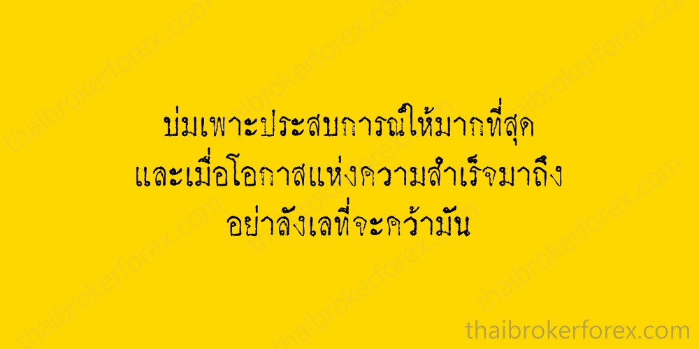 Forex thai ea