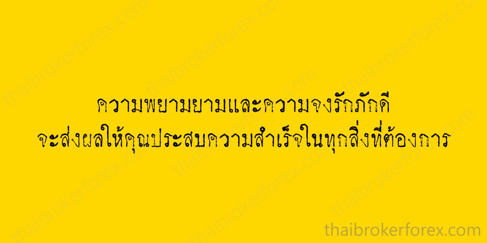 Forex 4 you